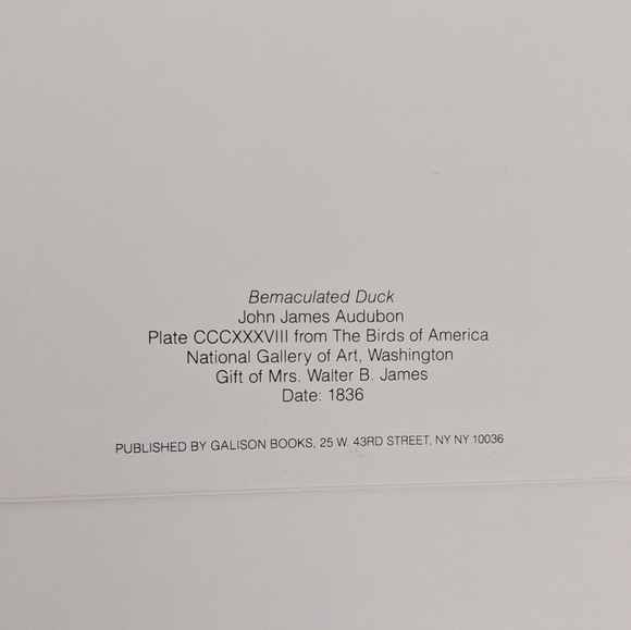 Audubon's Ducks Boxed Set Of Blank Note cards 5x7 Natl Gallery Of Art Set Of 14 - Picture 8 of 10